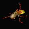 final fantasy vii enemy Bizzare Bug