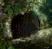  final fantasy vii ancient forest tree hollow