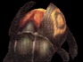 dirge of cerberus enemy bizarre bug