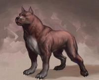 dragon age origins character dog