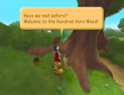 kingdom hearts 100 acre wood