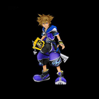 kingdom hearts II form