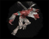lament of innocence enemy