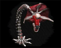 lament of innocence enemy