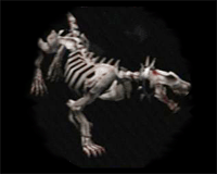 lament of innocence enemy