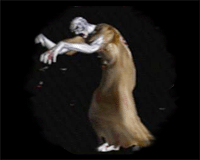lament of innocence enemy