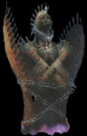 final fantasy x-2 enemy anima